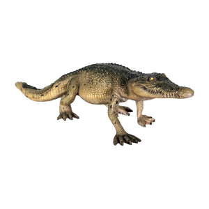 Crocodile Walking 4ft. (Not in Aus)