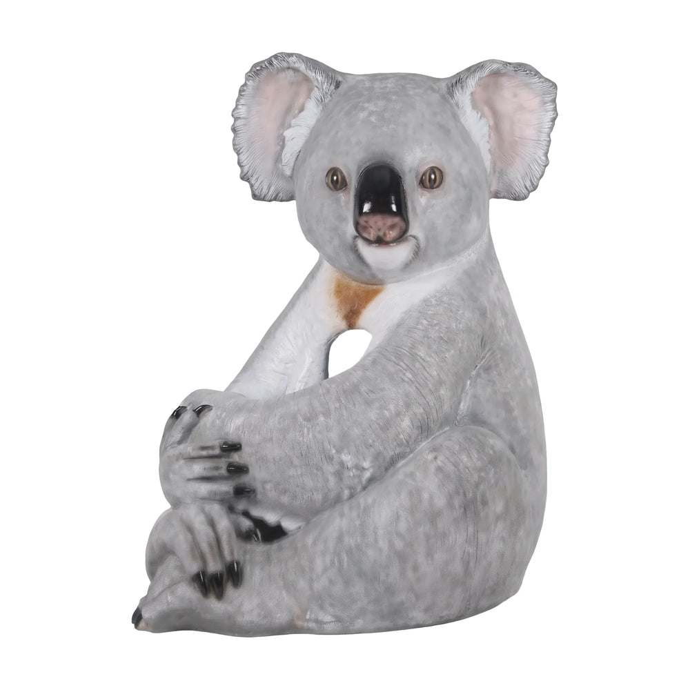 Cuddle the Koala (Not in Aus)