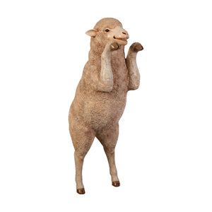 Curious Merino Ewe (not in AUS / Benelux)