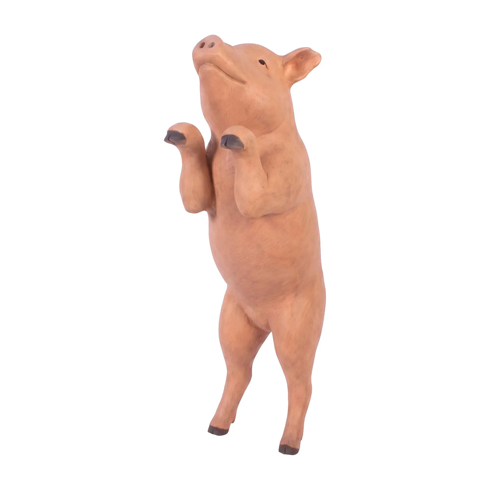 Curious Pig (Not in Aus)