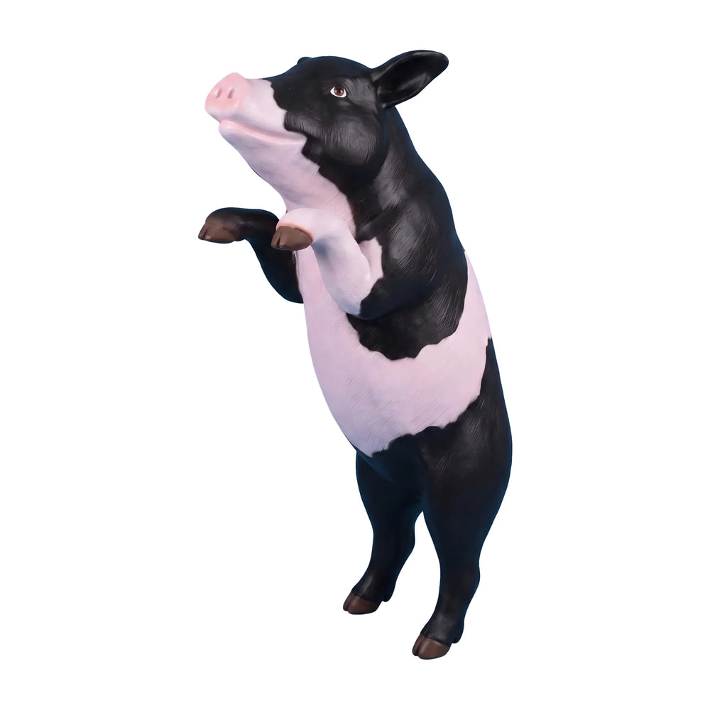 Curious Pig (Not in Aus)