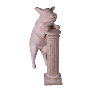 Curious Pig (Not in Aus)