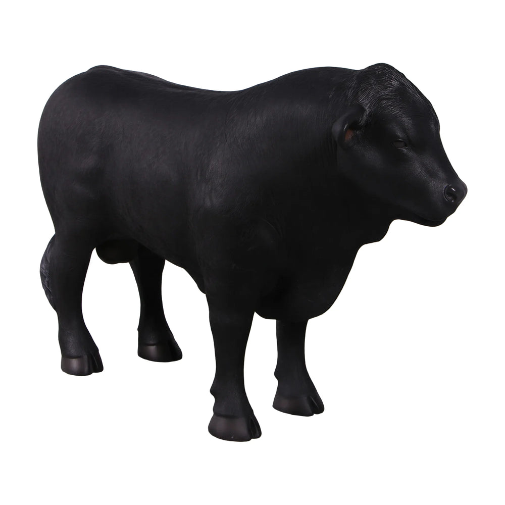 Definitive Angus Looking Left (not in AUS/NZ)