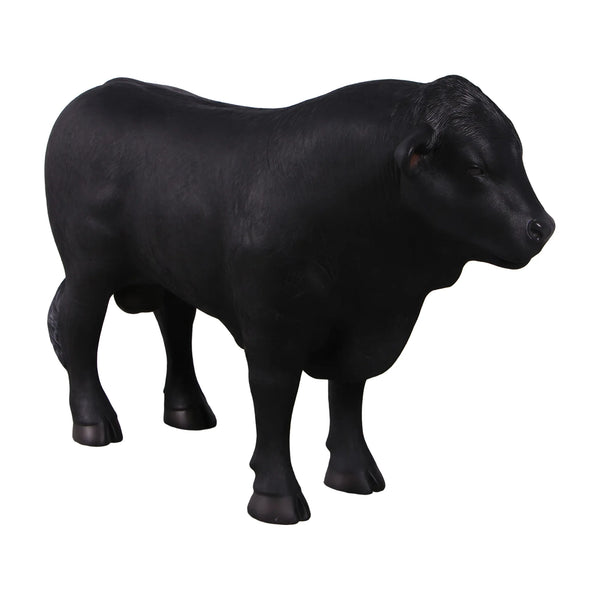 Definitive Angus Looking Left (not in AUS/NZ)