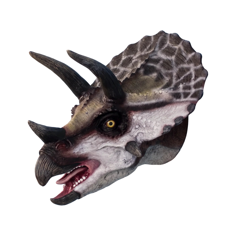 Definitive Triceratops Head