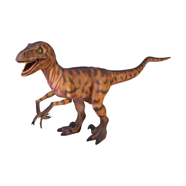 Deinonychus (Not In Aus)