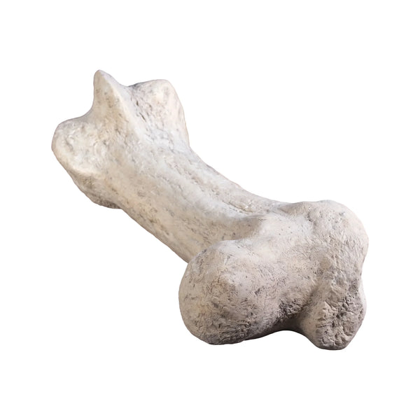 Dinosaur Bone (Not In Usa/Canada)