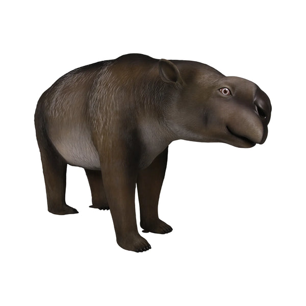 Diprotodon (not in AUS) - Gelcoat Version