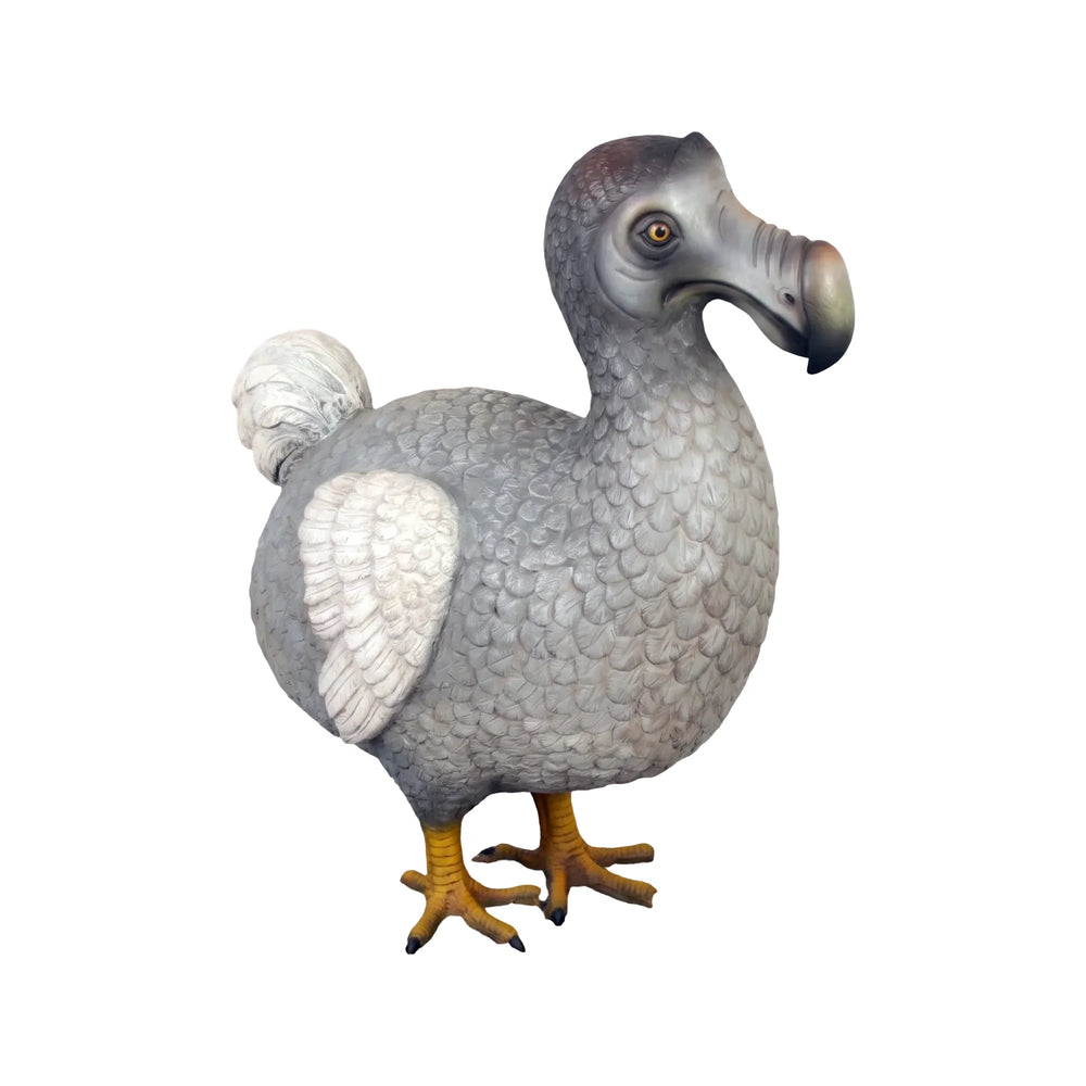Dodo Bird (not in Aus)