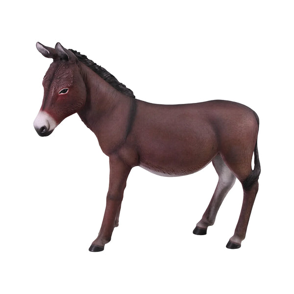 Donkey