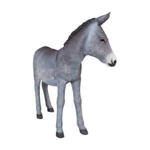 Donkey