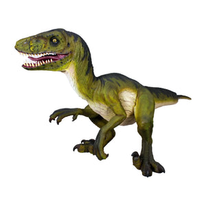 Dromaeosaurus