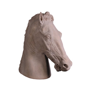 Equestrian Horse Head (Not in Aus)