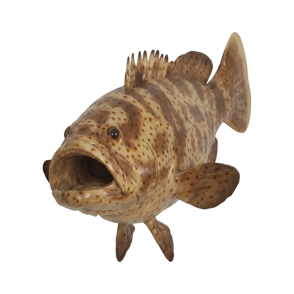 Estuary Cod (not in AUS/USA/Canada)