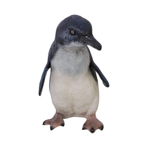 Fairy Penguin (not in AUS)