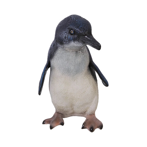 Fairy Penguin (not in AUS)