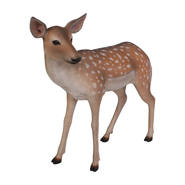 Fallow Deer - Fawn