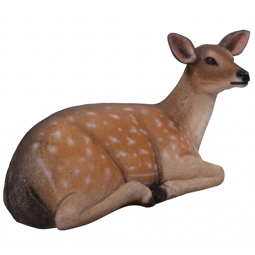 Fallow Deer - Fawn, Lying Down