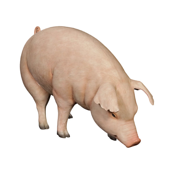 Fat Pig