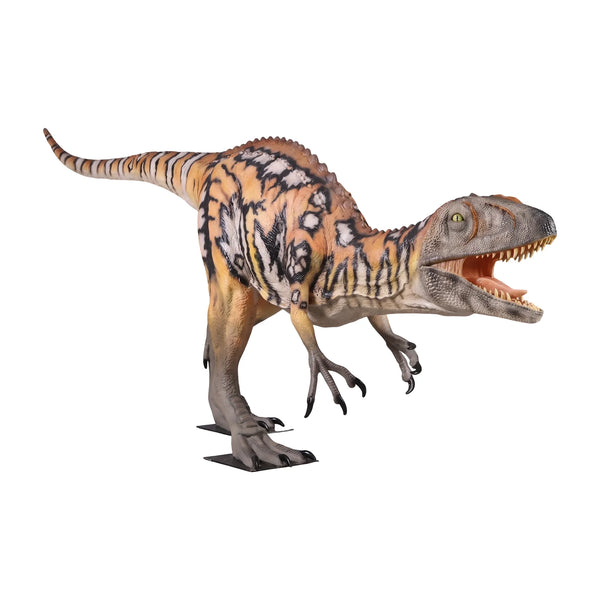 Female Australovenator (Not In Aus) - Gelcoat Version