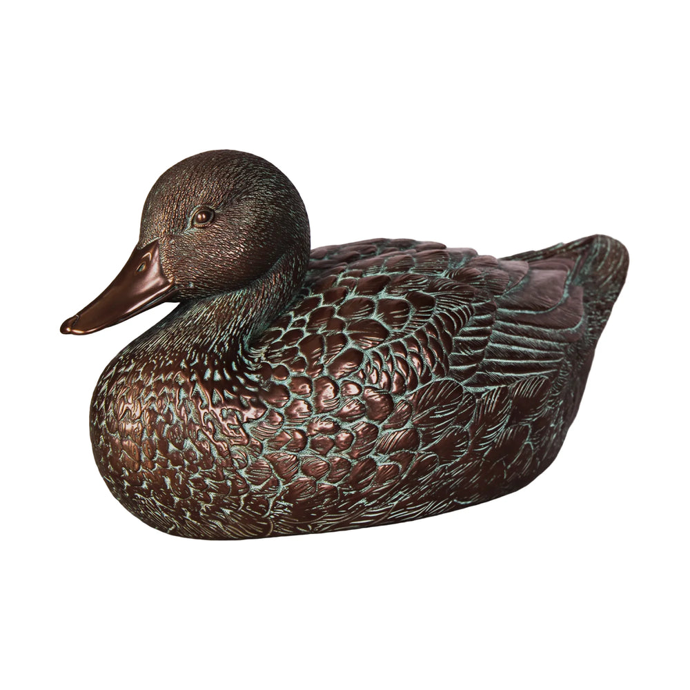 Female Mallard Duck