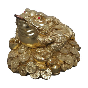 Feng Shui Money Frog (Not in AUS/NZ)