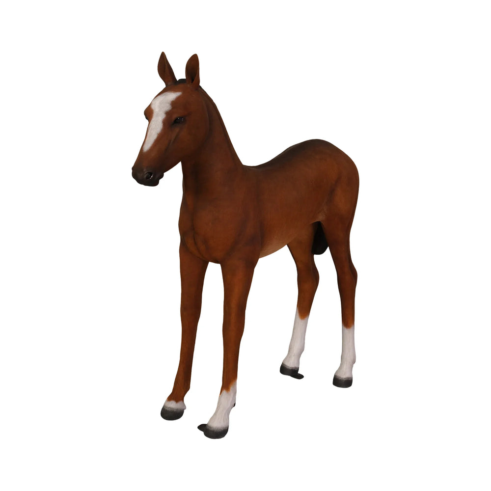 Foal (not in Aus)