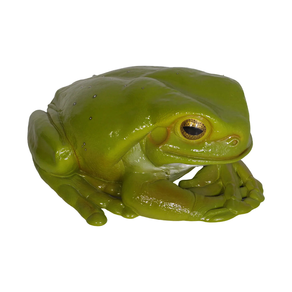 Frog Jumbo (Not in Aus)