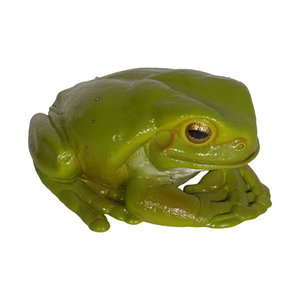 Frog Jumbo (Not in Aus)