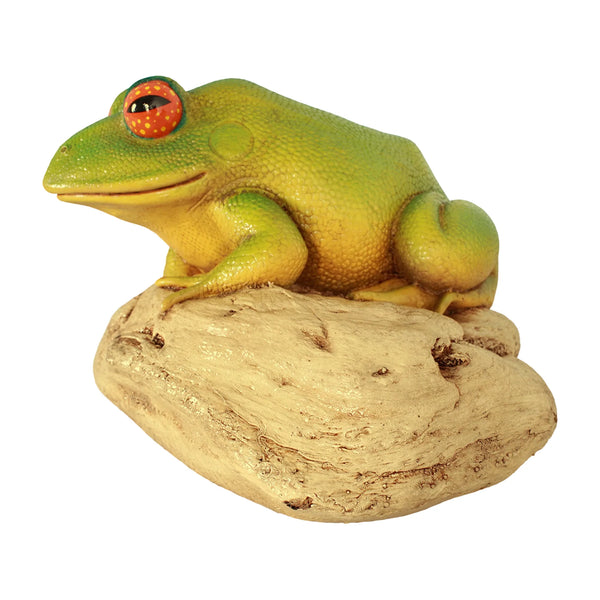 Frog on Rock Large