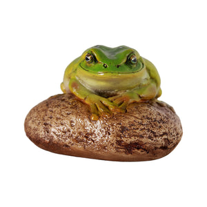 Frog On Rock Small (Not in AUS)