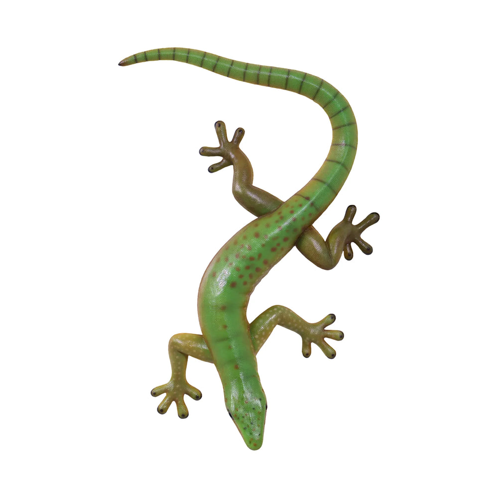 Gecko 80cm