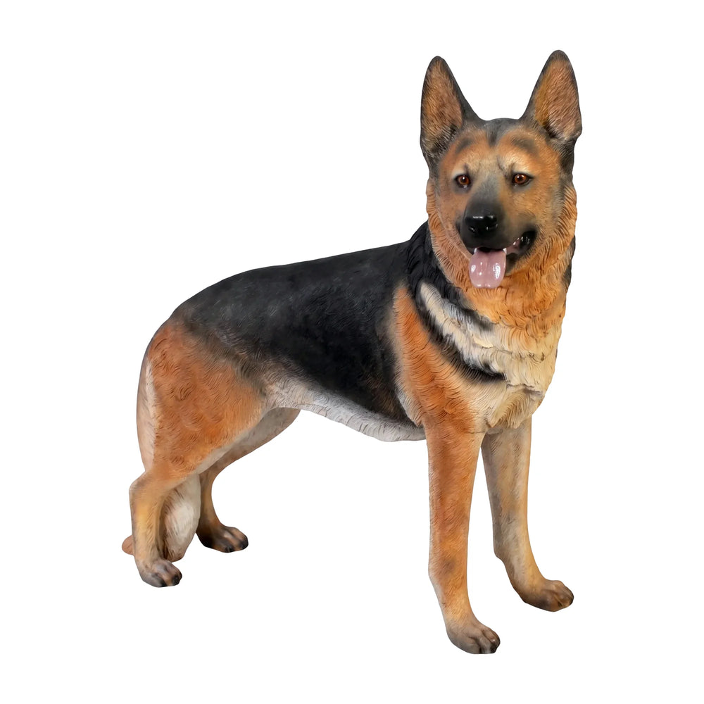 German Shepherd