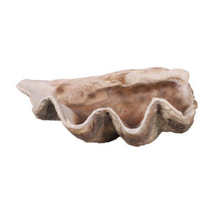 Giant Clam Shell