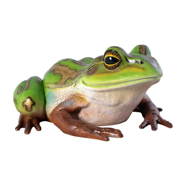 Giant Green and Golden Bell Frog (Not in Aus)