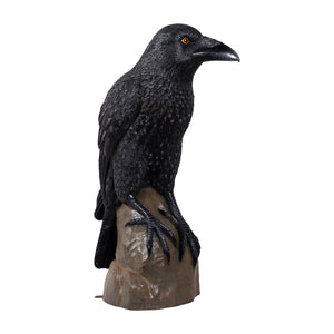 Giant Mystic Night Raven (not in USA/Canada)