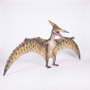 Giant Pteranodon (Not In Aus)
