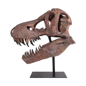 Giant T-Rex Skull