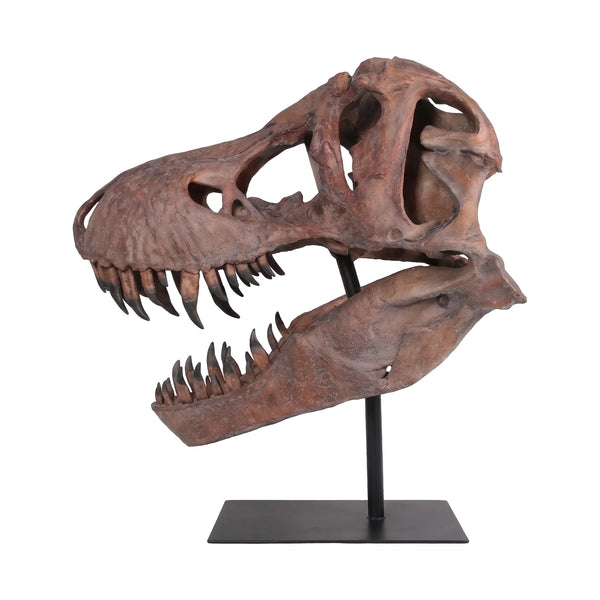 Giant T-Rex Skull
