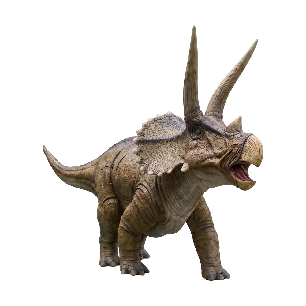 Giant Triceratops (Not In Aus)