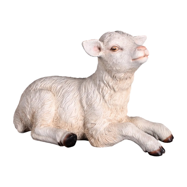 Goat - Kid Resting (not in Aus)