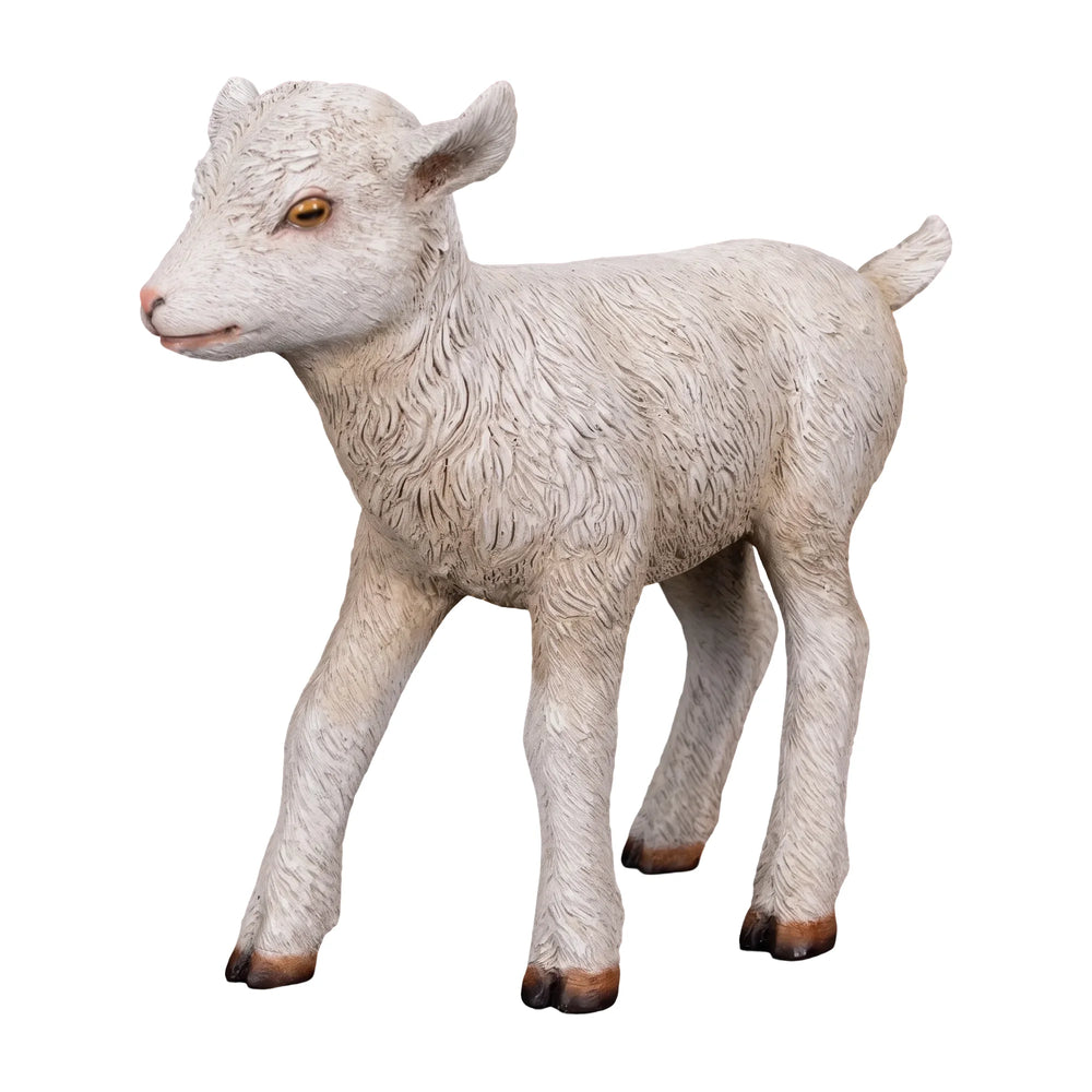 Goat - Kid Standing (not in Aus)