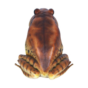 Great Barred Frog (not in Aus)