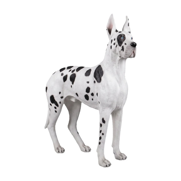 Heinimex Standing Great Dane animal statue, painted finish, realistic life-size style angle view