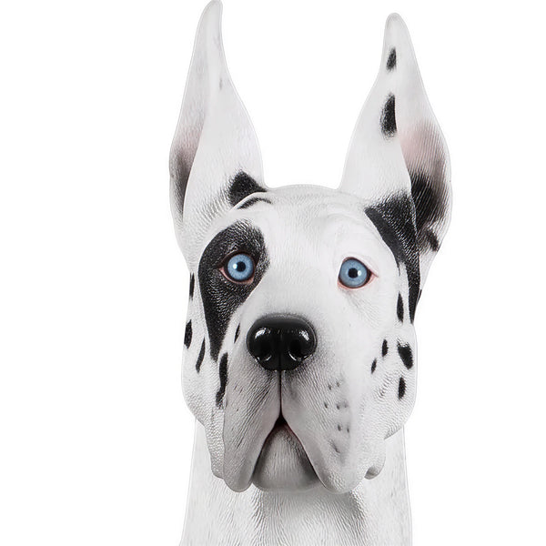Heinimex Standing Great Dane animal statue, painted finish, realistic life-size style close up view