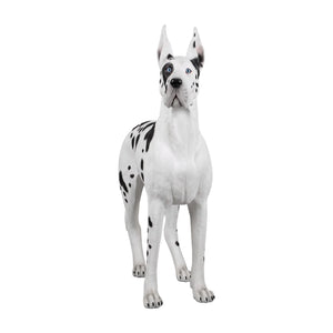 Heinimex Standing Great Dane animal statue, painted finish, realistic life-size style front view