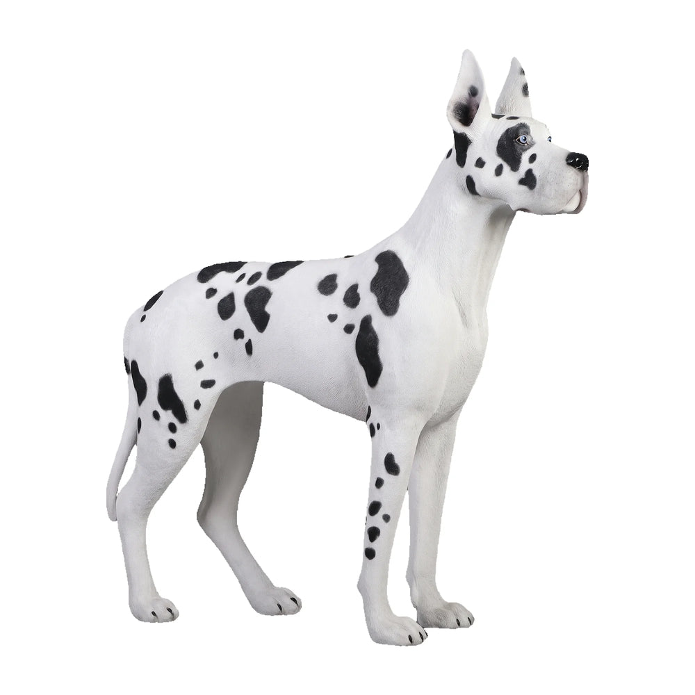 Heinimex Standing Great Dane animal statue, painted finish, realistic life-size style angle view
