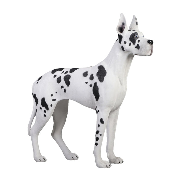 Heinimex Standing Great Dane animal statue, painted finish, realistic life-size style side view