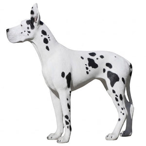 Heinimex Standing Great Dane animal statue, painted finish, realistic life-size style left side view