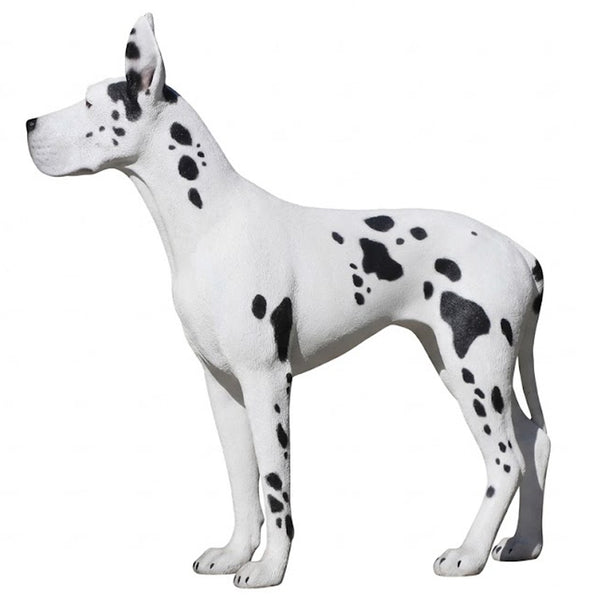 Heinimex Standing Great Dane animal statue, painted finish, realistic life-size style left side view